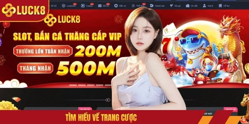 Tìm hiểu về trang cược