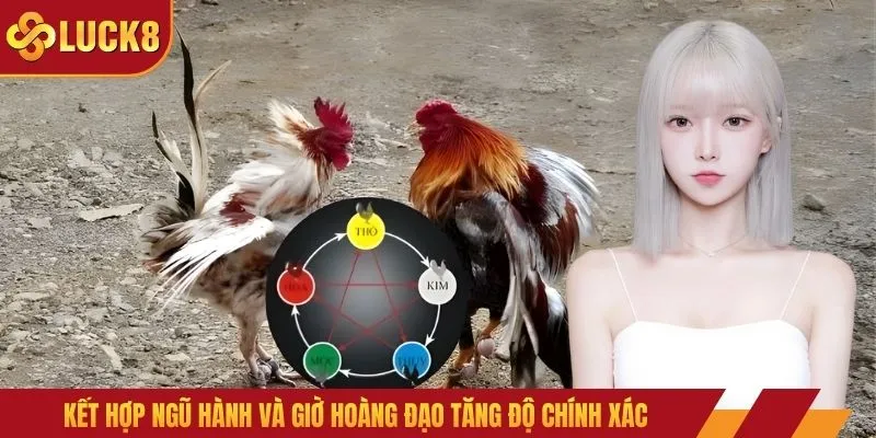 Kết hợp ngũ hành và giờ hoàng đạo tăng độ chính xác